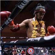 Clases particulares Muaythai para todos los niveles